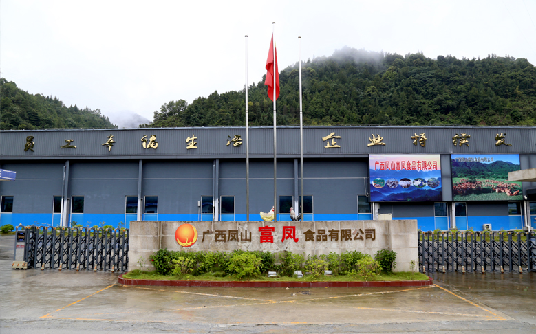 广西凤山成人看片APP食品有限公司